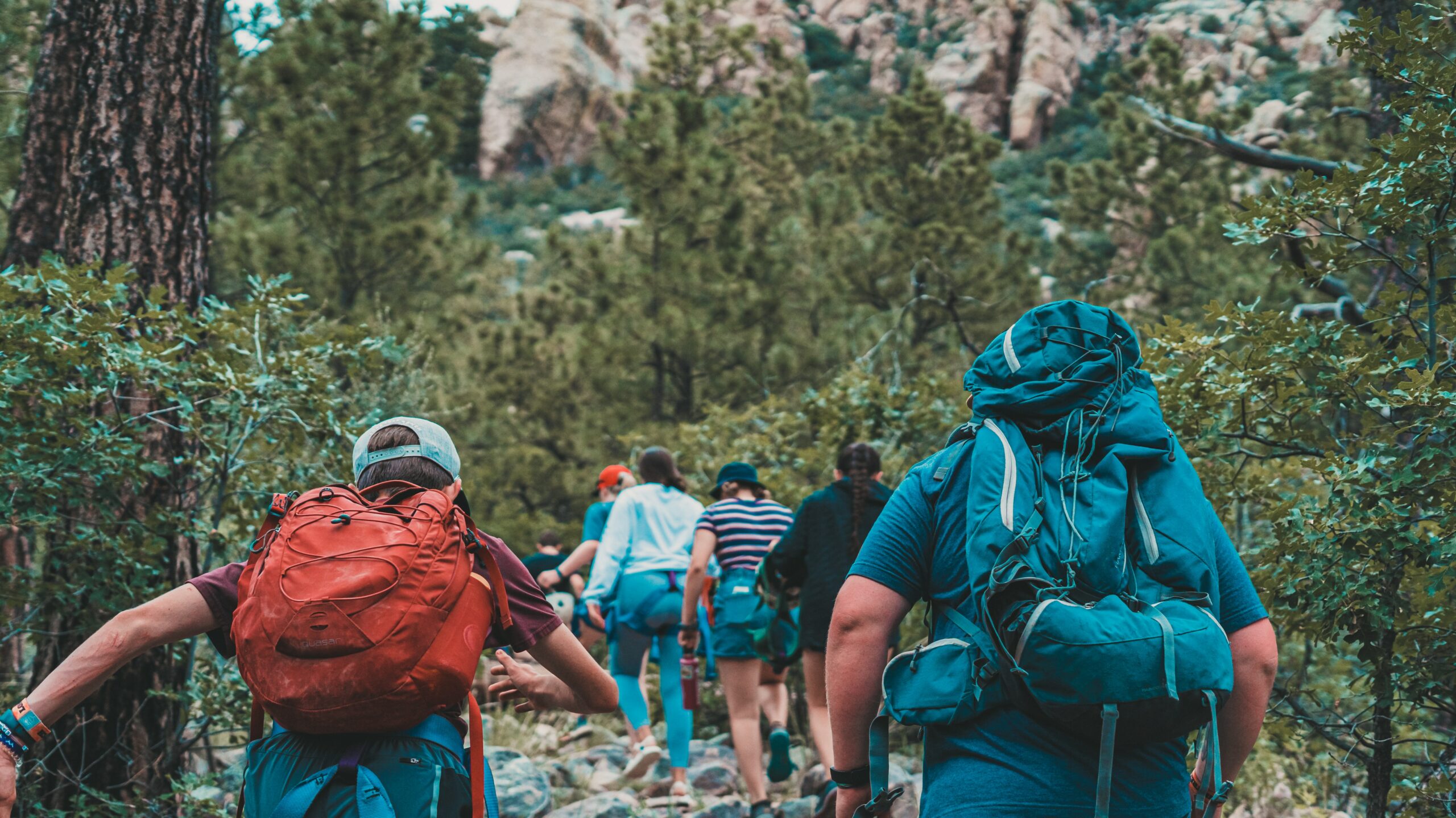 anderson-schmig-f7b6WX_p1N0-unsplash