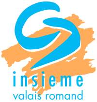 insieme-logo-transparent